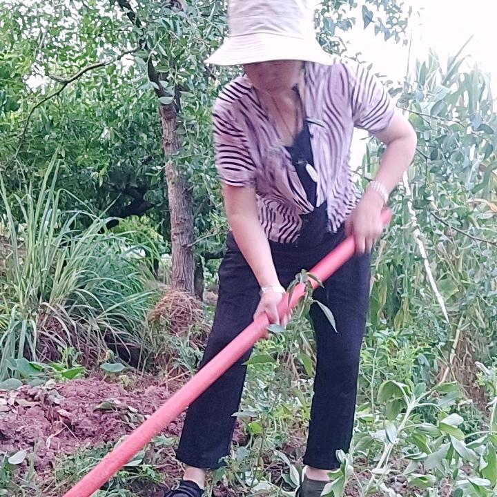修心