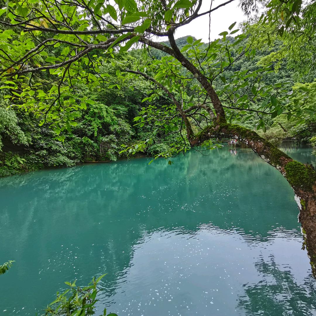 小陈带你做数量（只做真题）