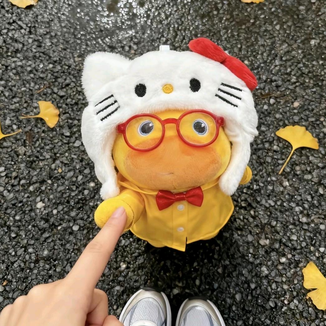 龙眼
