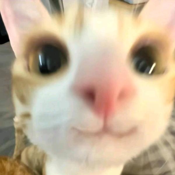 冷水鱼
