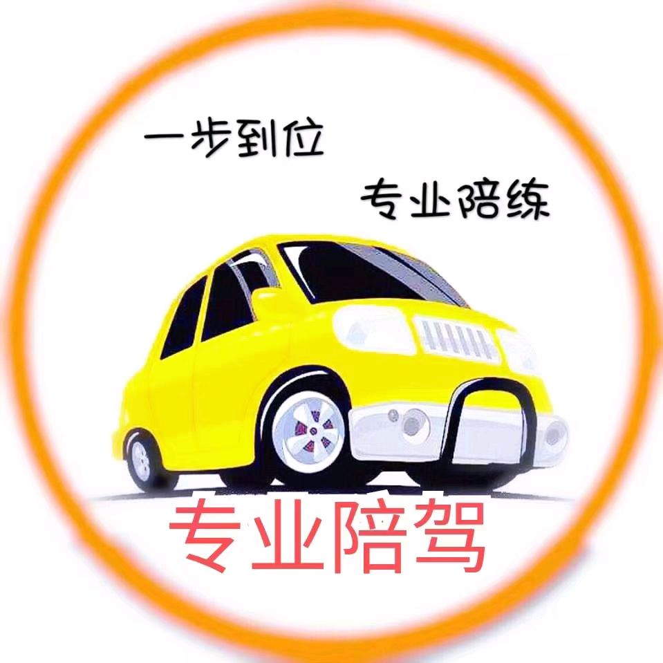 新手司机陪驾陪练