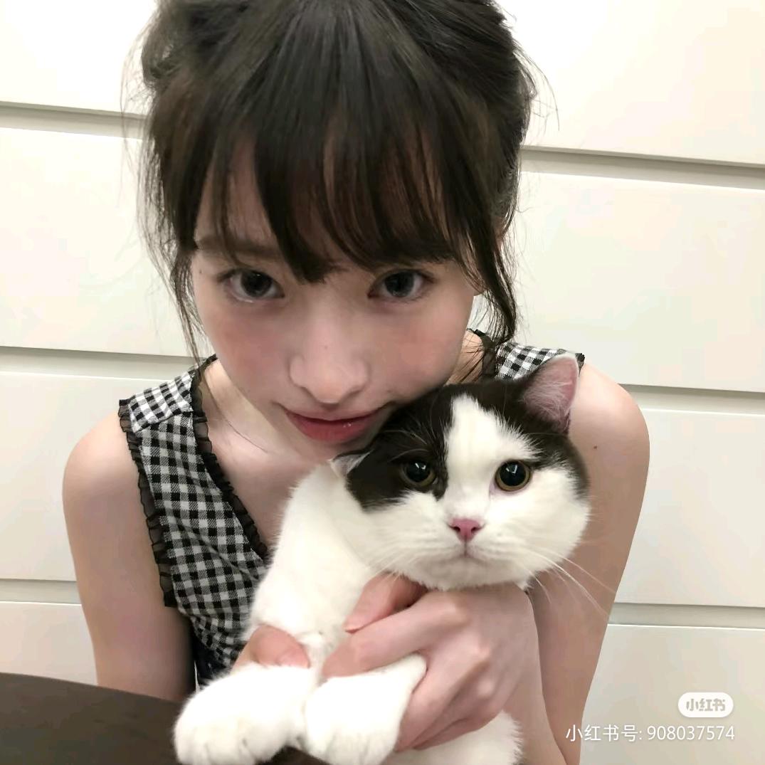 隐姓埋名刘亦菲