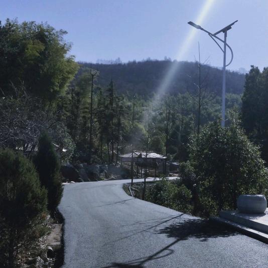 默言以对