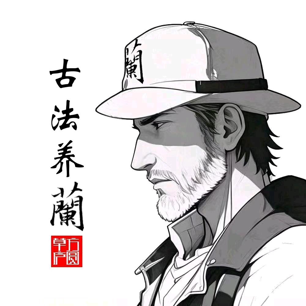 张先生·阳台养兰