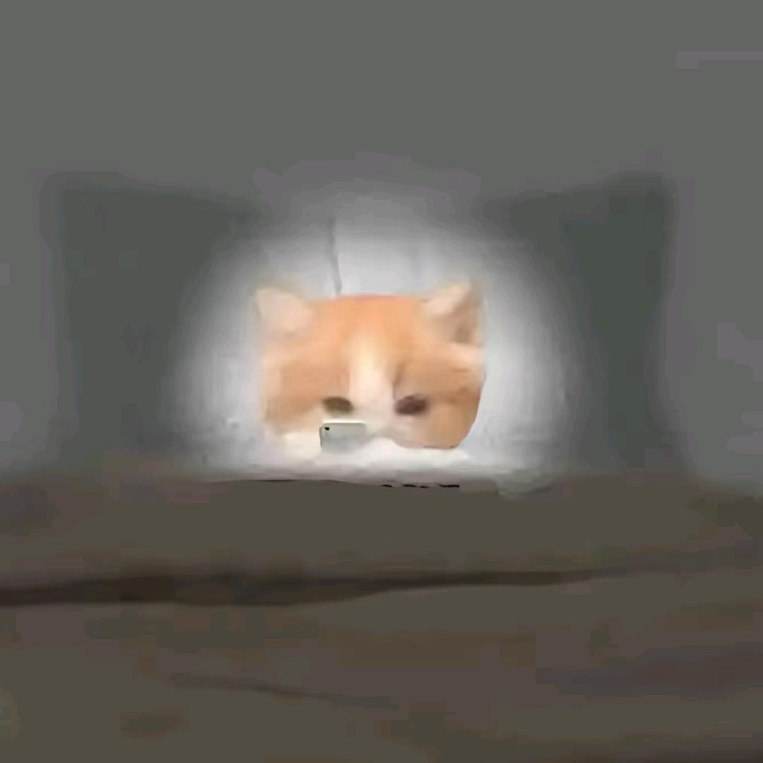 不见花海🥰