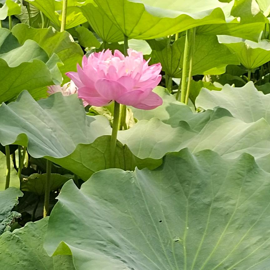 善待余生<<拒私聊>>