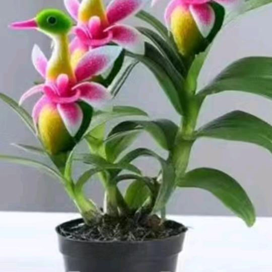 💖💝寻找有缘人💖💝