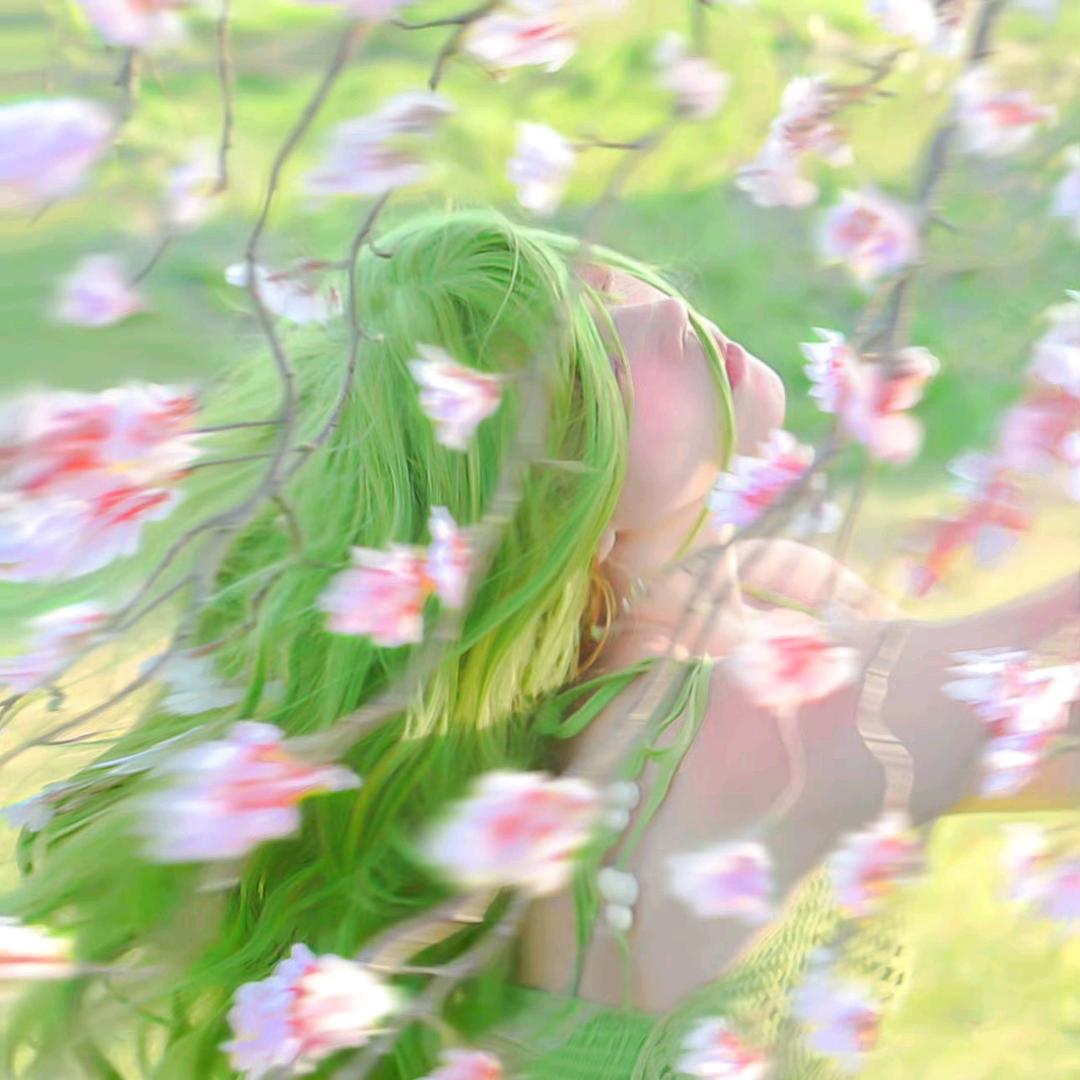 君不见