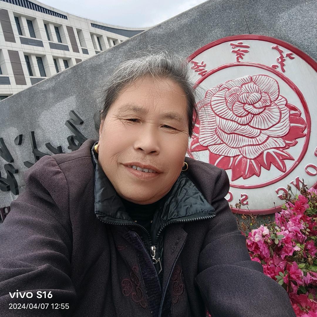 芙蓉山下阳光树