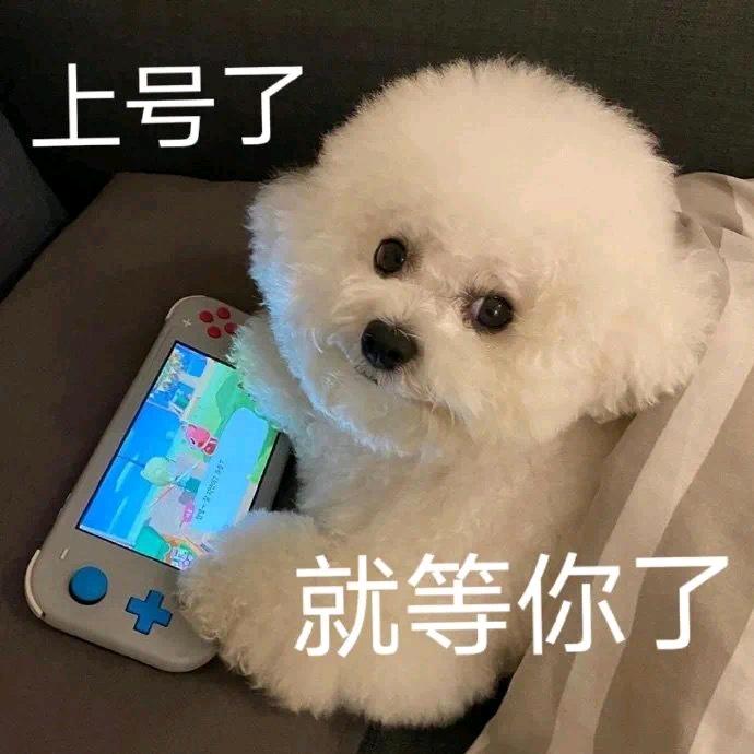 小学生