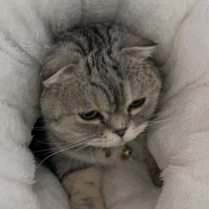 wuhuhu