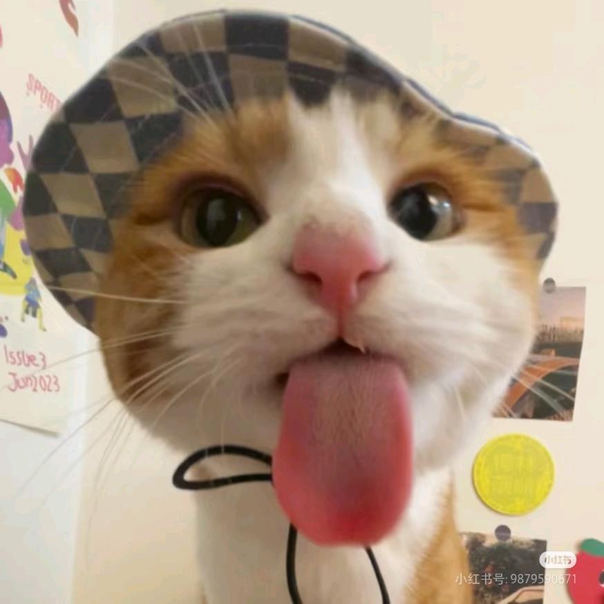 白日梦