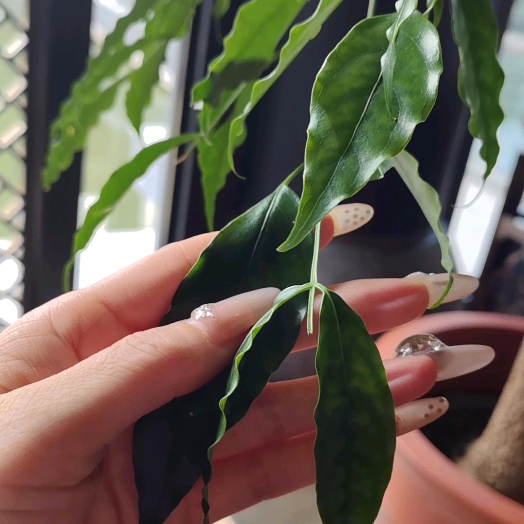 悠悠❣️❣️❣️❣️❣️❣️