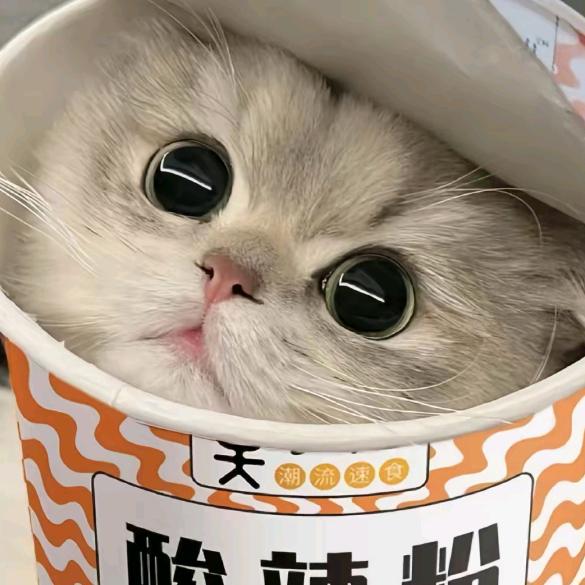 星星打盹💫