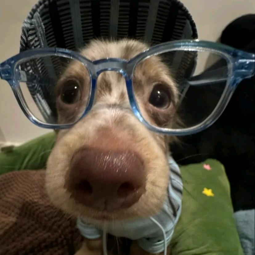 律明安的小木屋