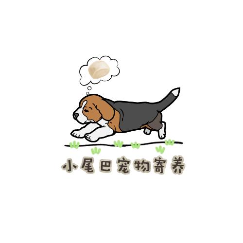 小尾巴宠物寄养营地