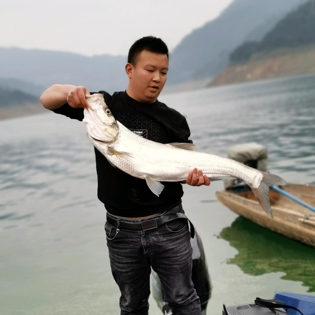 秀山野钓小黄