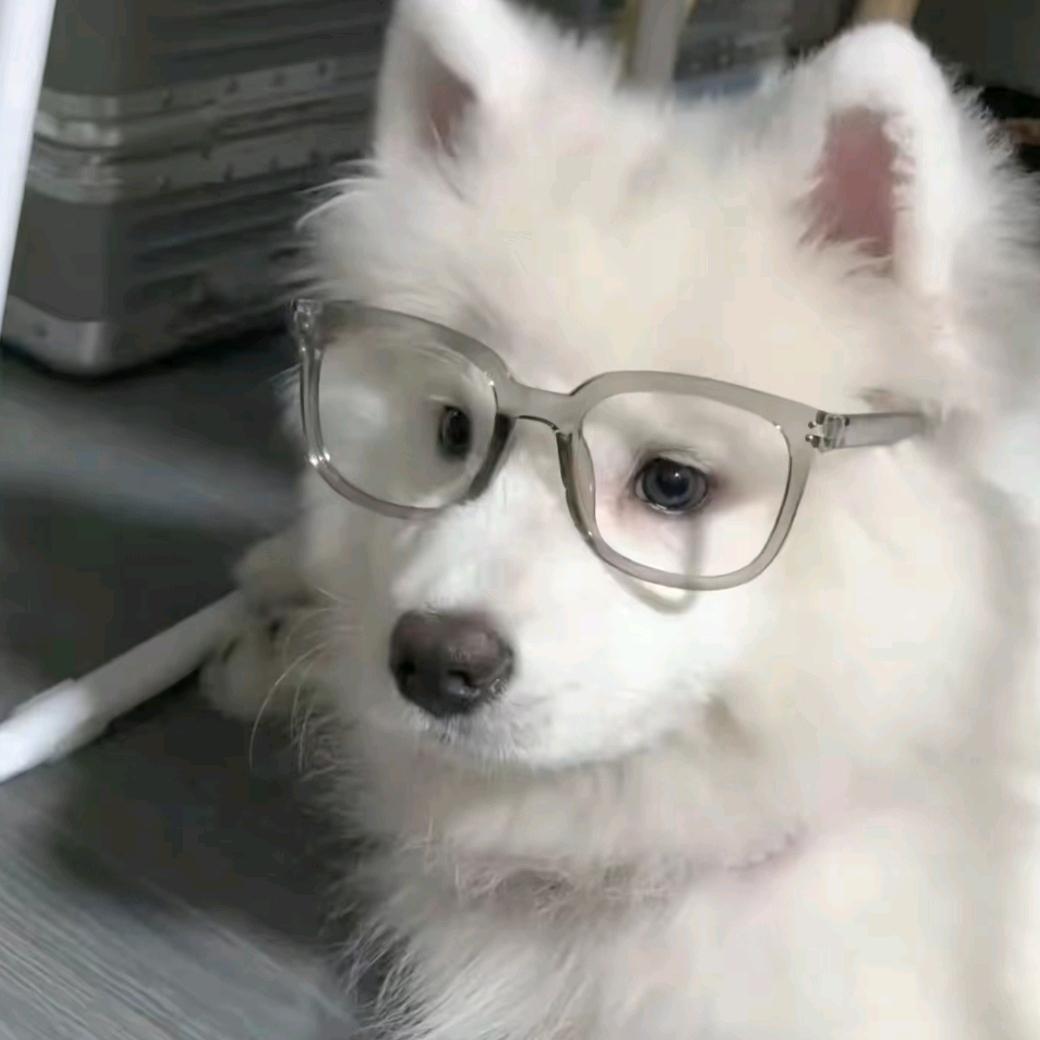 漫天飞散的汤美玉头像