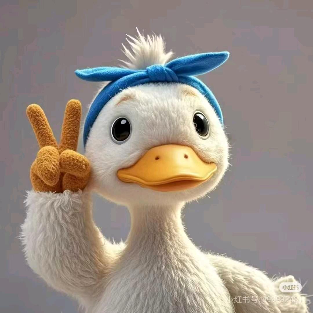 骑着八戒去旅行