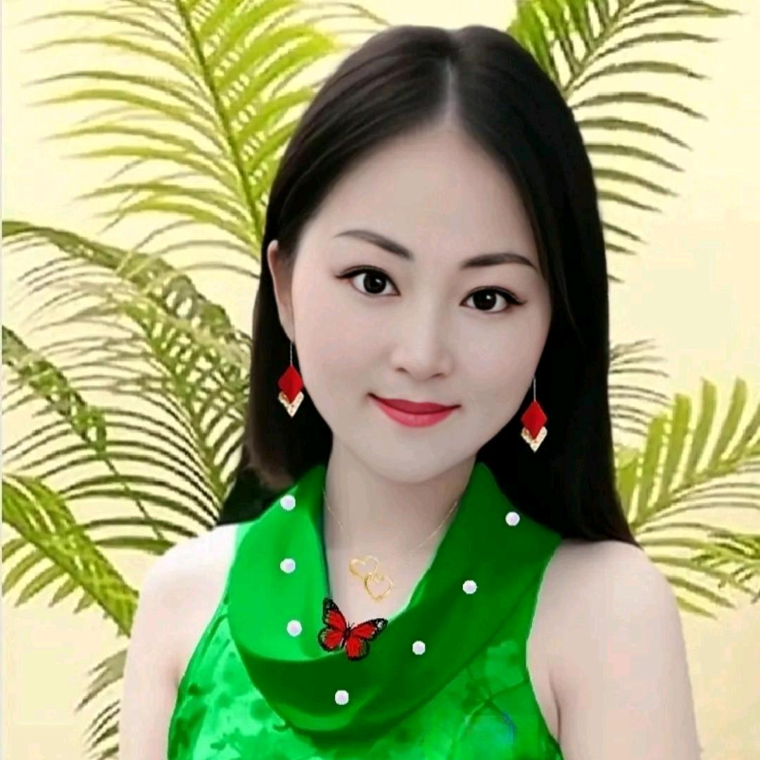 东东的橱窗.