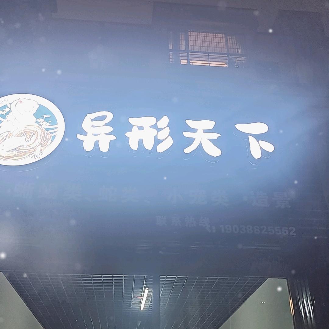 异形天下(体验店)官方号