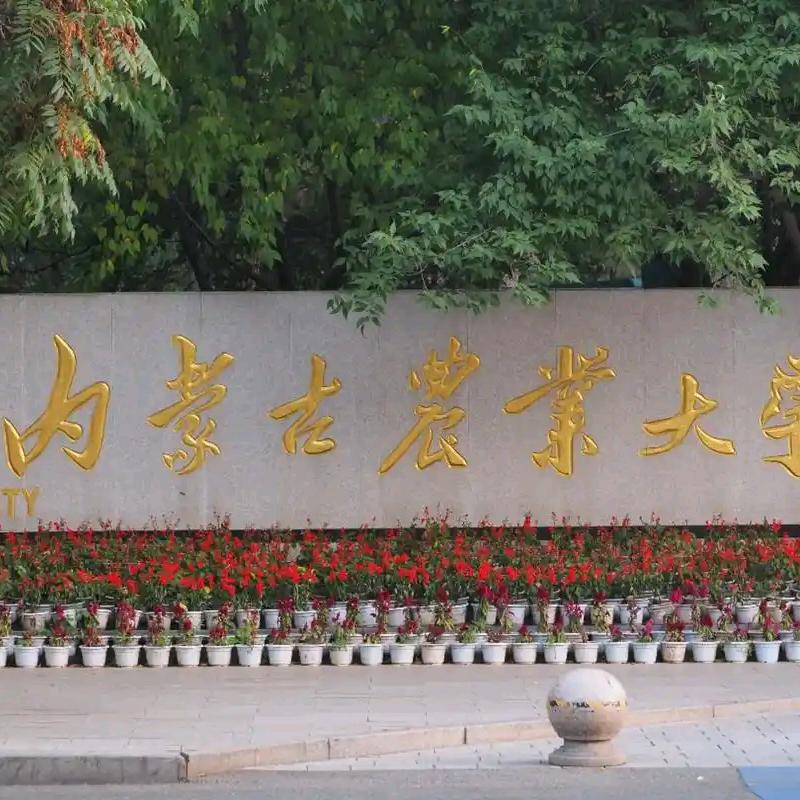 内农大香菜学姐（有群版）
