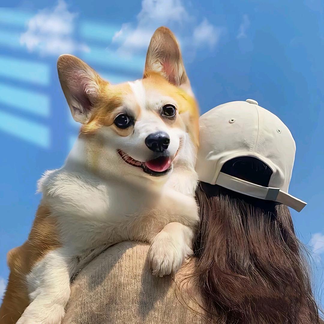 盛彤彤