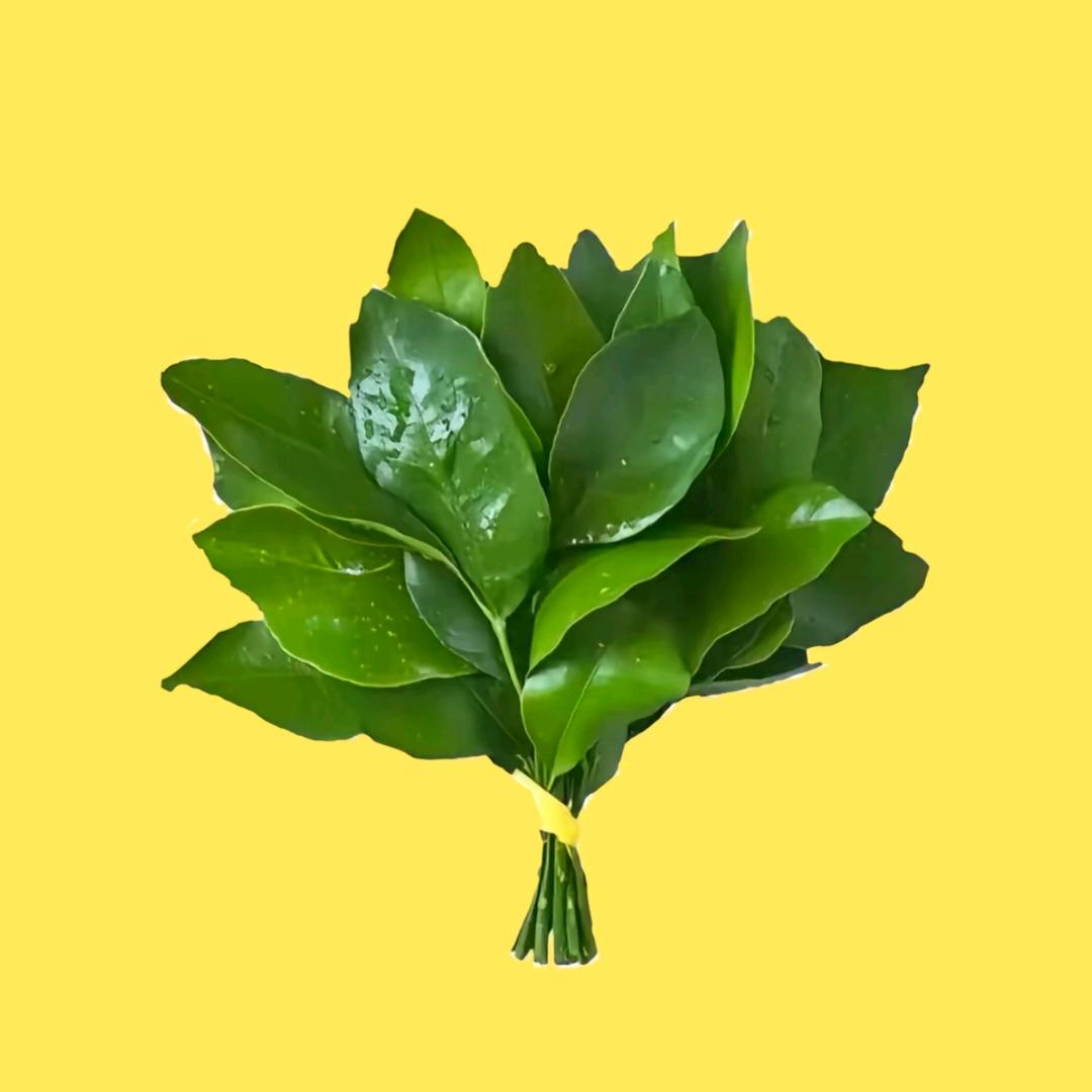 潇潇洒洒
