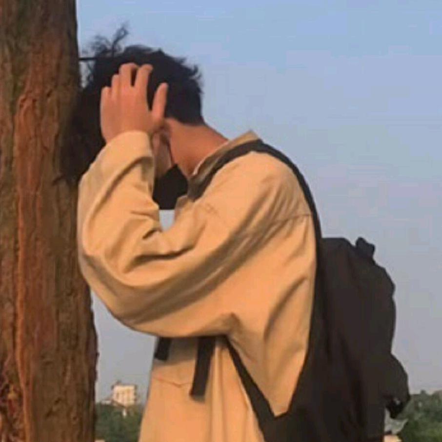 不是洲
