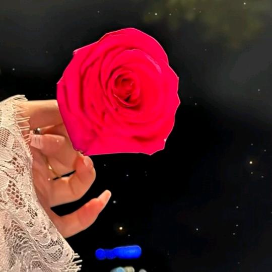 ღᩚ᭄子君᭄ৡᩚ࿐ﾞ