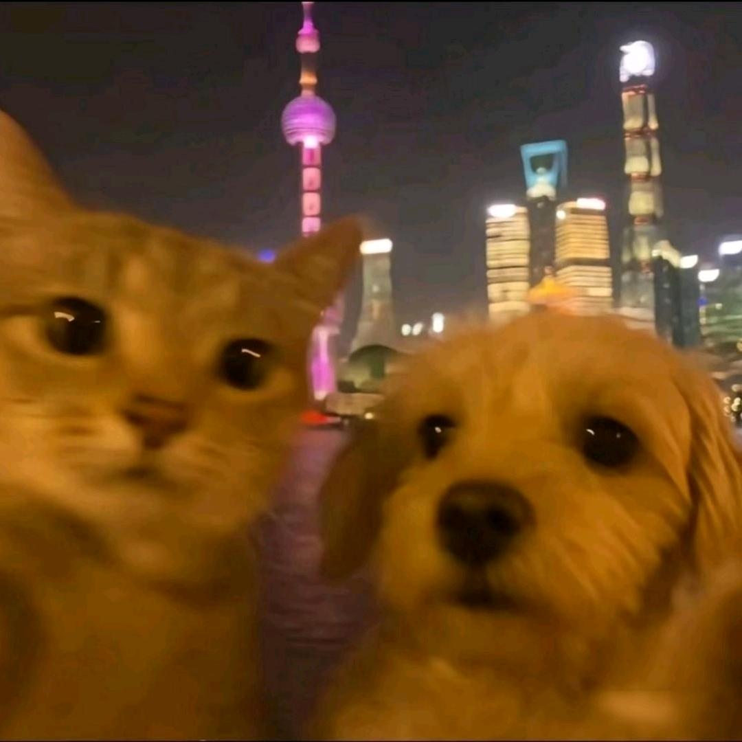 白万的🎱