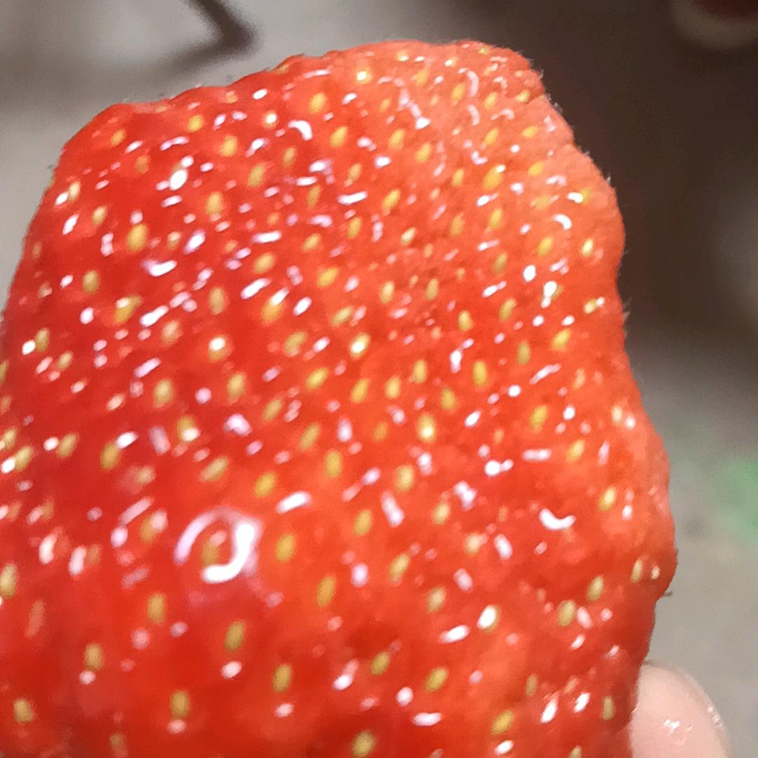 酱鸭鱼干网络传媒
