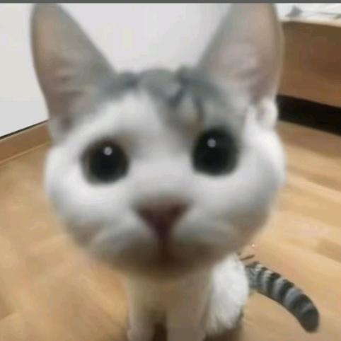 ⁃̀W⁃́头像