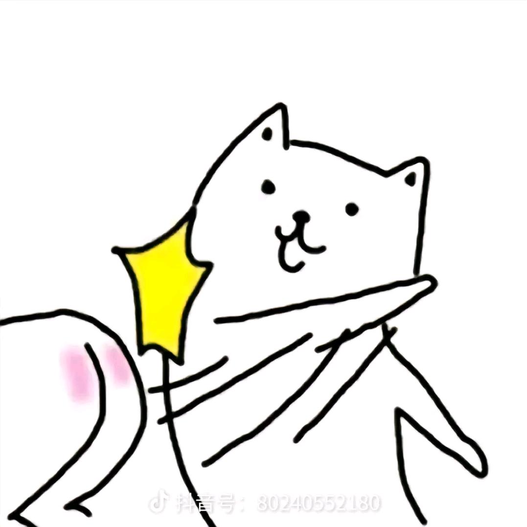 星小派
