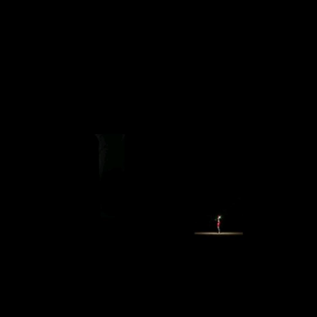 月影归尘♏