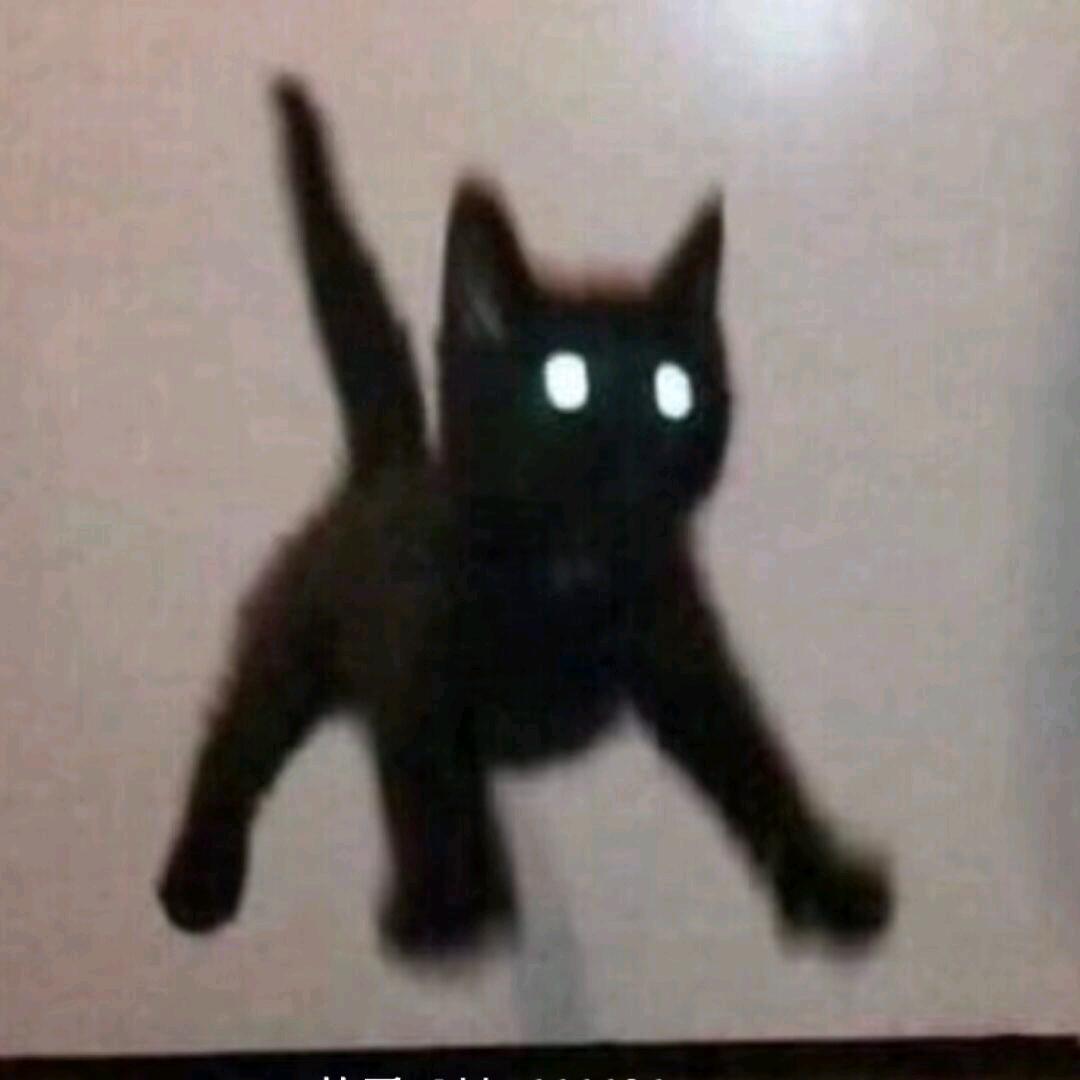 飞天小猫