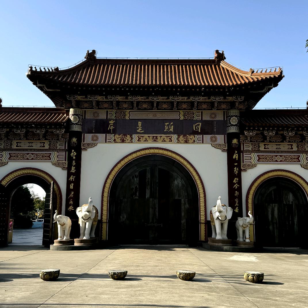 笨小孩