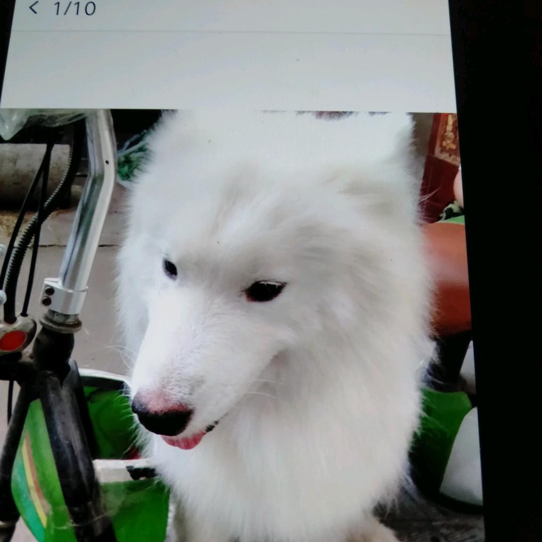 困难的的回忆