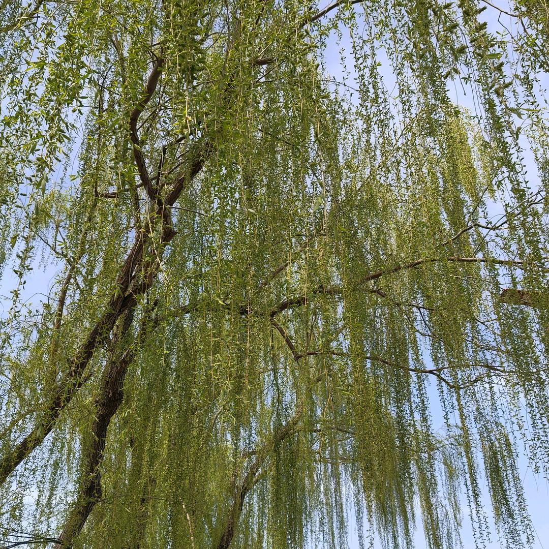 别招惹我