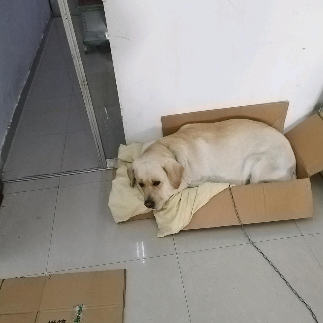 辛福一家人