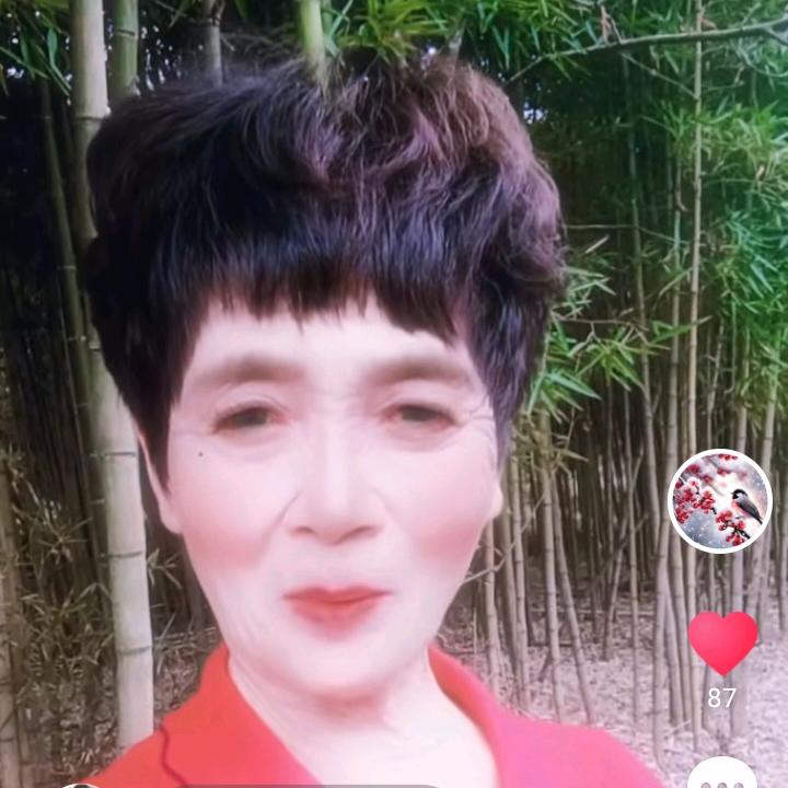 史香娣