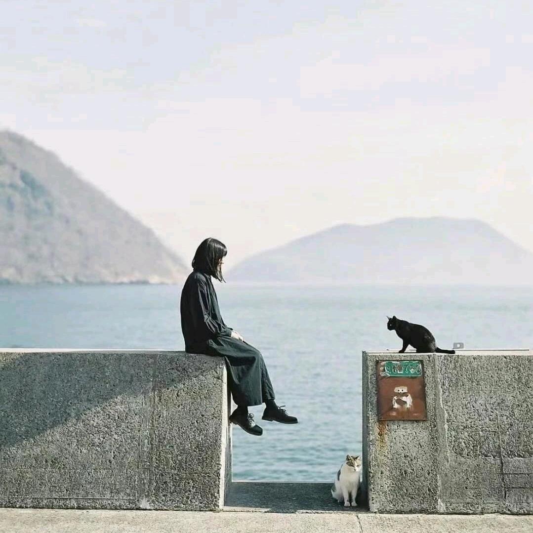 人鱼的🐟余🐟