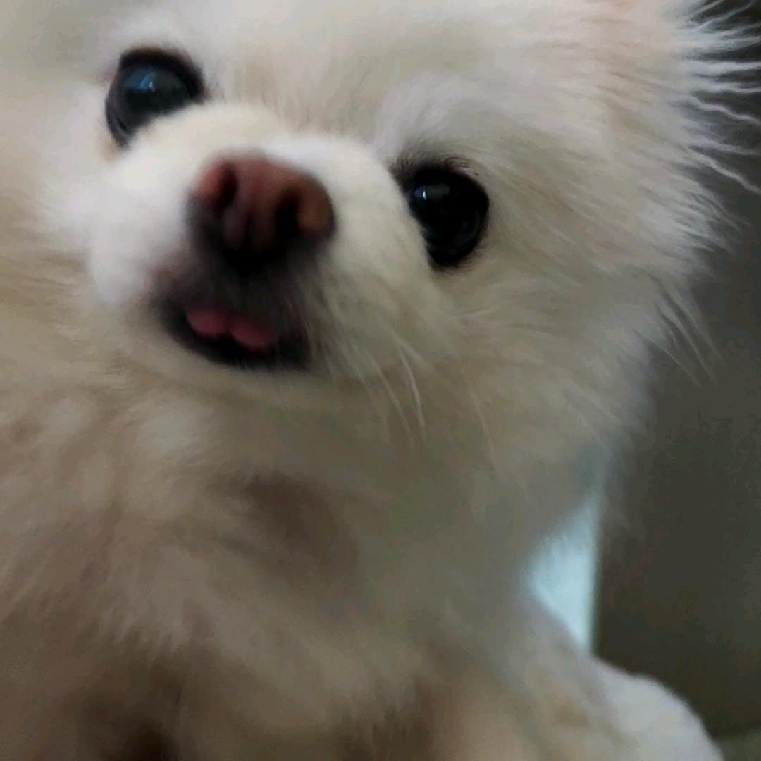 我不困🥱