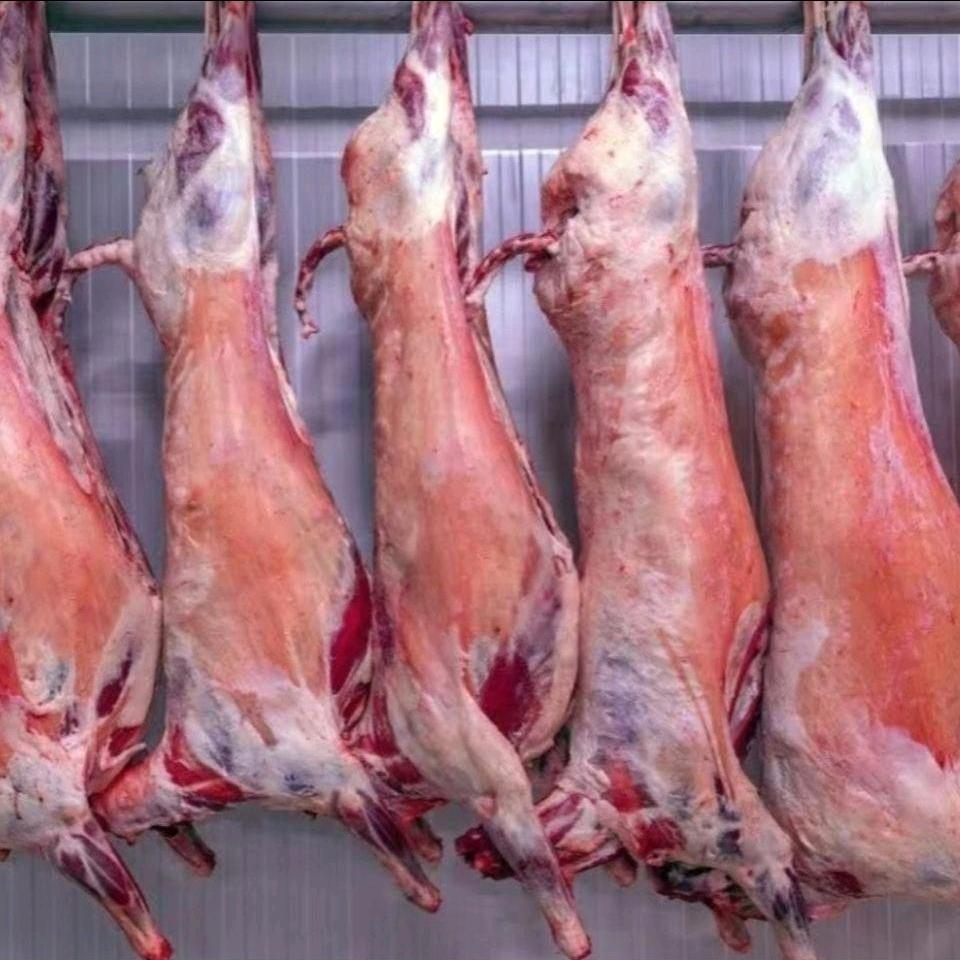 武清小周牛羊肉