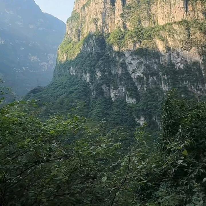 美好秋秋