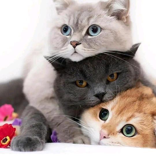 我的终点｜在你身边