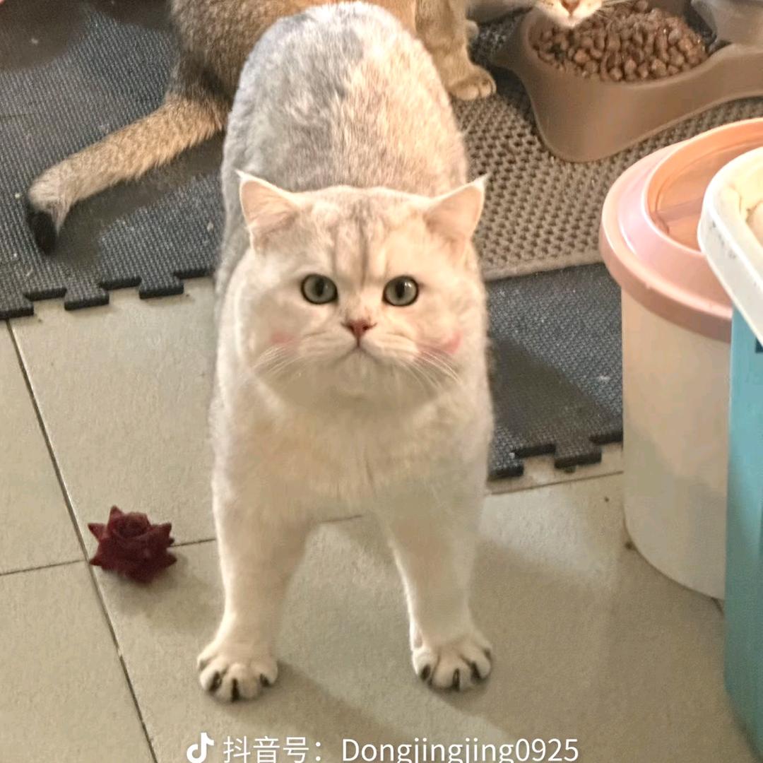 小熊饼干🎈🎈