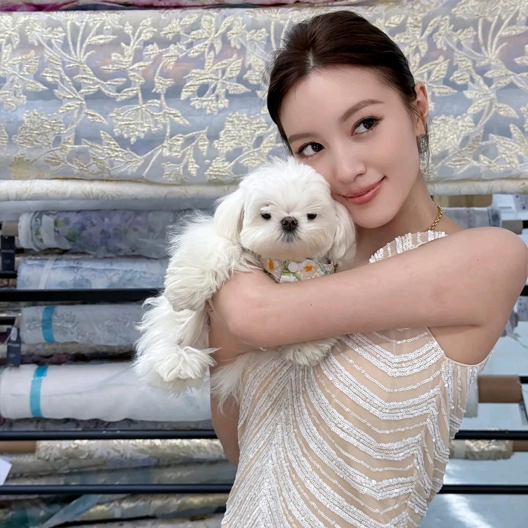 梦颖melinda（直播精选）