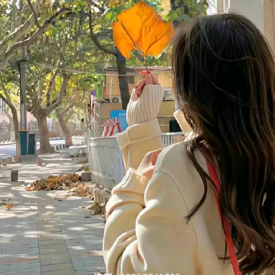 🌻吉祥三宝🌻