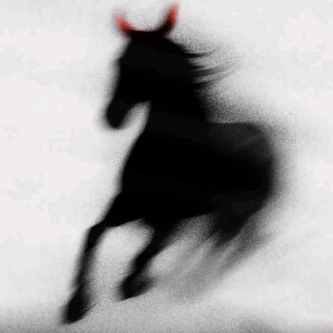 6020